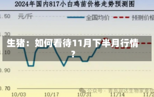 生猪：如何看待11月下半月行情？