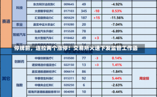 停牌前，连拉两个涨停！交易所火速下发监管工作函