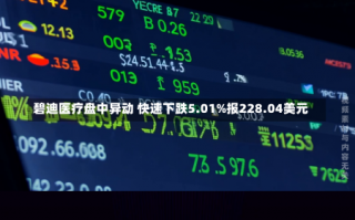 碧迪医疗盘中异动 快速下跌5.01%报228.04美元