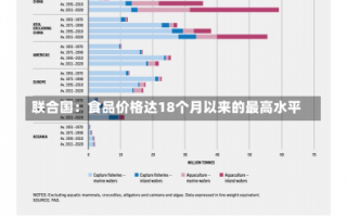 联合国：食品价格达18个月以来的最高水平