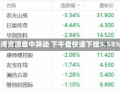 海湾资源盘中异动 下午盘快速下挫5.58%