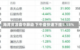 海湾资源盘中异动 下午盘快速下挫5.58%