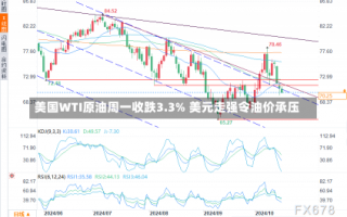 美国WTI原油周一收跌3.3% 美元走强令油价承压