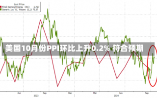 美国10月份PPI环比上升0.2% 符合预期