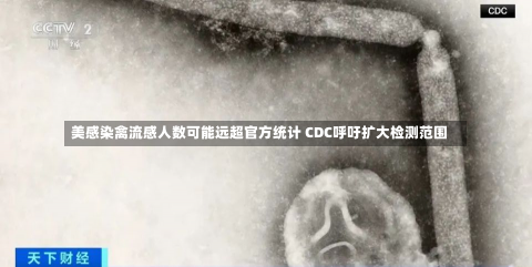 美感染禽流感人数可能远超官方统计 CDC呼吁扩大检测范围-第3张图片-玩游号