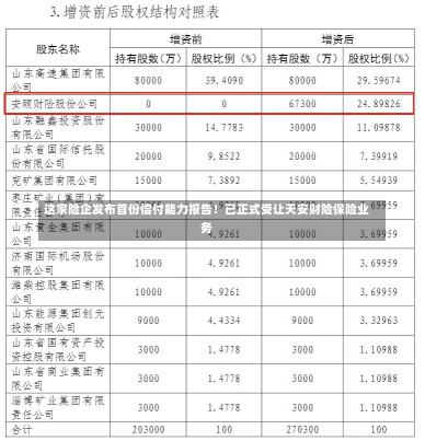 这家险企发布首份偿付能力报告！已正式受让天安财险保险业务-第3张图片-玩游号