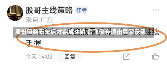 股份回购五年后才完成注销 音飞储存遭出具警示函-第2张图片-玩游号