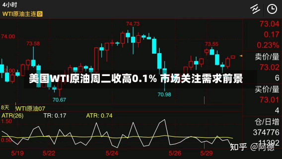 美国WTI原油周二收高0.1% 市场关注需求前景-第1张图片-玩游号