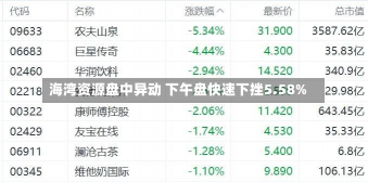 海湾资源盘中异动 下午盘快速下挫5.58%-第1张图片-玩游号