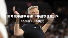 第九城市盘中异动 下午盘快速拉升5.05%报9.36美元-第2张图片-玩游号