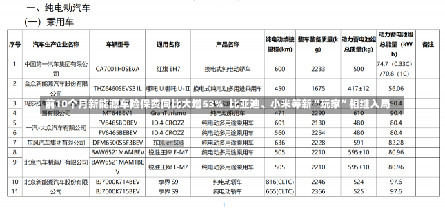 前10个月新能源车险保费同比大增53%  比亚迪、小米等新“玩家”相继入局-第1张图片-玩游号