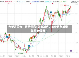 分析师警告：若欧佩克+取消减产，油价明年或暴跌至40美元-第1张图片-玩游号