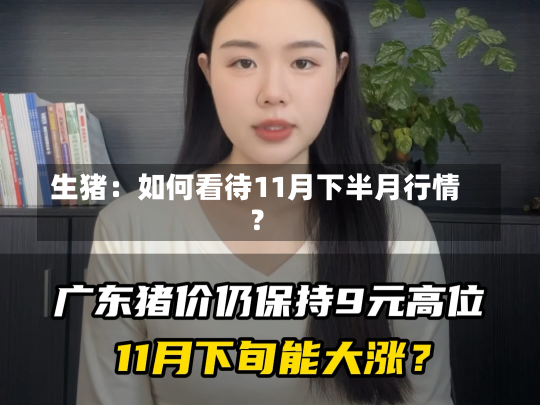 生猪：如何看待11月下半月行情？-第2张图片-玩游号