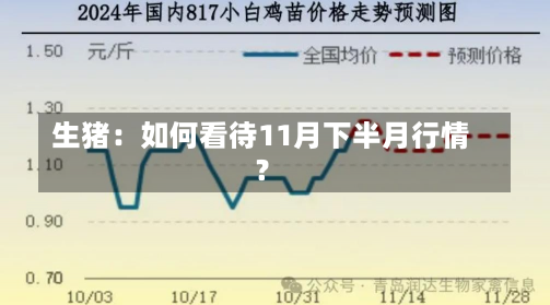 生猪：如何看待11月下半月行情？-第1张图片-玩游号