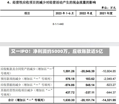 又一IPO！净利润约5000万，应收账款近5亿-第1张图片-玩游号