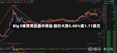 Big 5体育用品盘中异动 股价大跌5.00%报1.71美元-第2张图片-玩游号