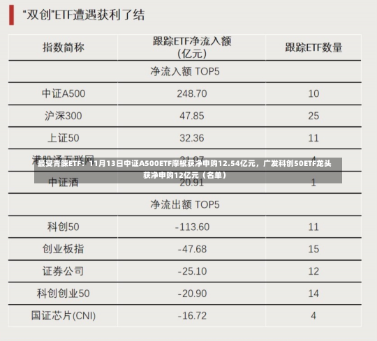 最受青睐ETF：11月13日中证A500ETF摩根获净申购12.54亿元，广发科创50ETF龙头获净申购12亿元（名单）-第1张图片-玩游号