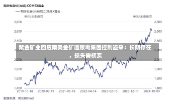 紫金矿业回应南美金矿遭贩毒集团控制盗采：长期存在，损失需核实-第2张图片-玩游号