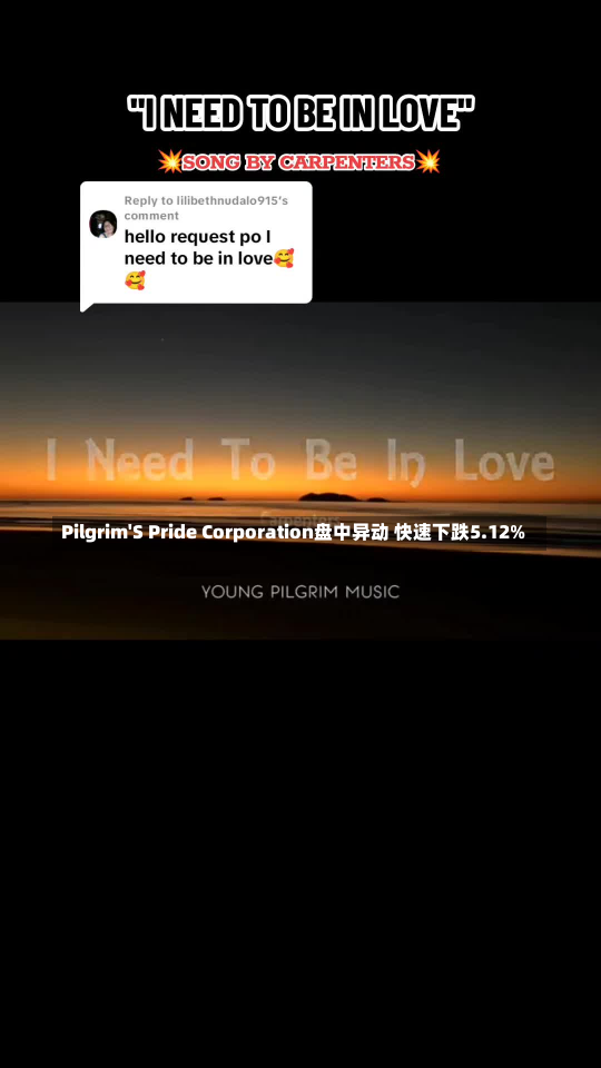 Pilgrim'S Pride Corporation盘中异动 快速下跌5.12%-第2张图片-玩游号