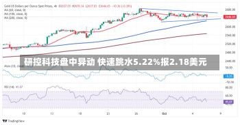 研控科技盘中异动 快速跳水5.22%报2.18美元-第1张图片-玩游号