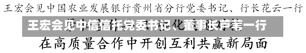 王宏会见中信信托党委书记、董事长芦苇一行-第1张图片-玩游号