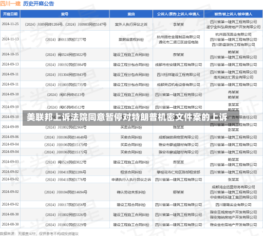 美联邦上诉法院同意暂停对特朗普机密文件案的上诉-第2张图片-玩游号