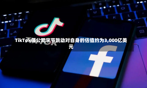 TikTok母公司字节跳动对自身的估值约为3,000亿美元-第1张图片-玩游号